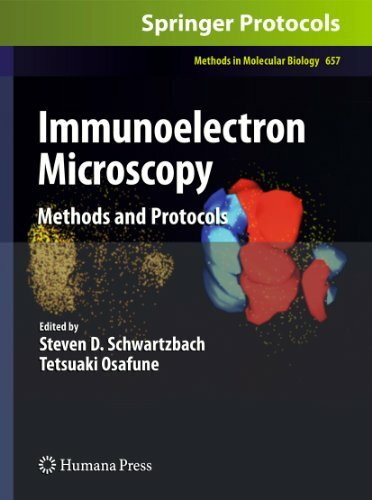 Immunoelectron Microscopy: Methods and Protocols (Methods in Molecular Biology, 657, Band 657)