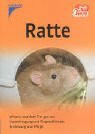 Ratte: Wissen, was dem Tier gut tut