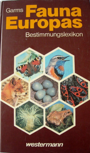 Bio Hessen: BIO, Ausgabe Hessen, 5./6. Schuljahr