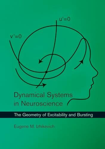 Dynamical Systems in Neuroscience: The Geometry of Excitability and Bursting (Computational Neuroscience Series)
