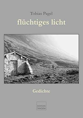 flüchtiges licht: Gedichte