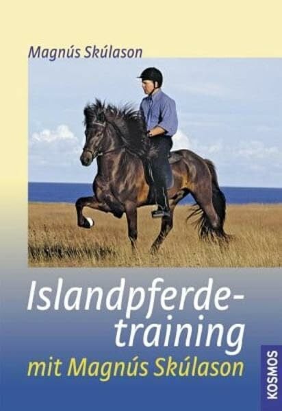 Islandpferdetraining mit Magnús Skúlason