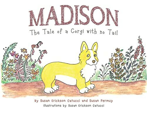 Madison: The Tale of a Corgi with no Tail