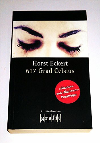 617 Grad Celsius: Kriminalroman (Grafitäter und Grafitote)
