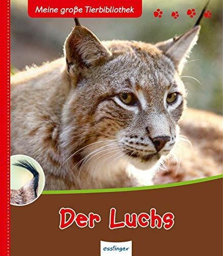 Der Luchs (Meine große Tierbibliothek)