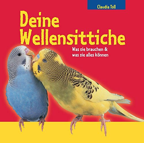 Deine Wellensittiche: Was sie brauchen & was sie alles können