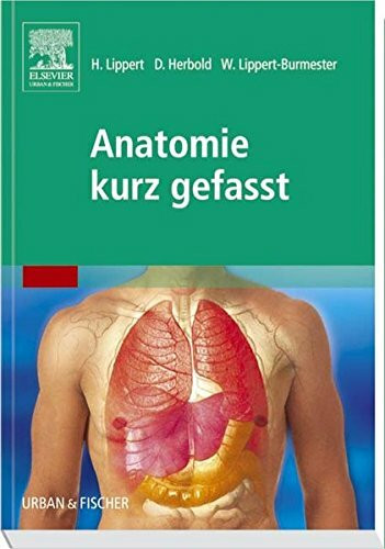 Anatomie kurz gefasst