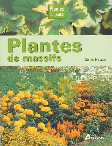 Plantes de massifs
