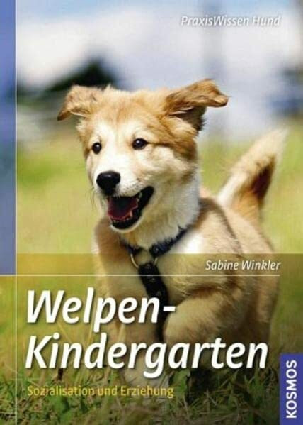 Welpenkindergarten: Prägung, Sozialisation und Erziehung