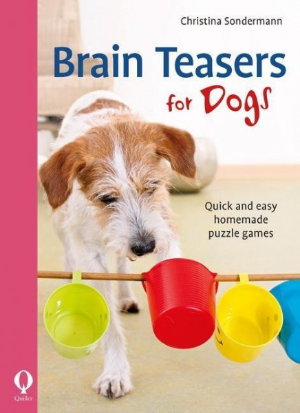 Brain teasers for dogs