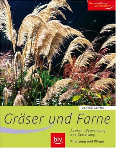 Gräser und Farne