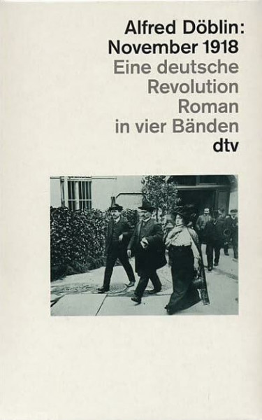 November 1918: Eine deutsche Revolution (dtv Kassettenausgaben)