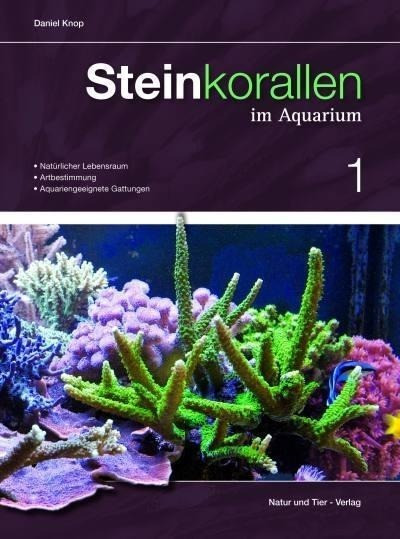 Steinkorallen im Aquarium 01