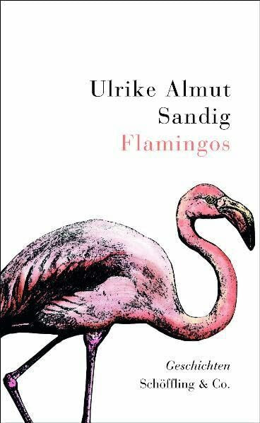Flamingos: Geschichten