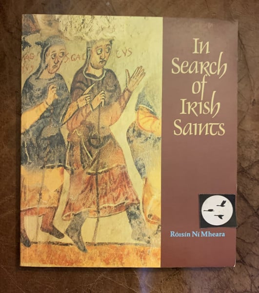 In Search of Irish Saints: The Peregrinatio Pro Christo