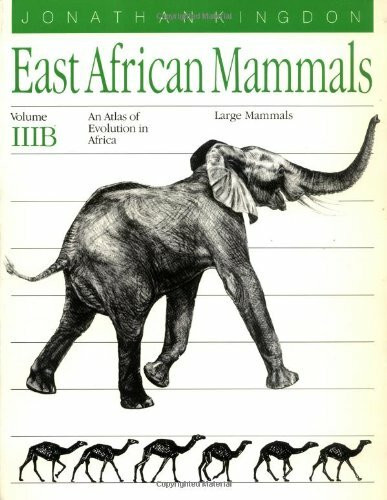 East African Mammals: An Atlas of Evolution in Africa, Part B : Large Mammals