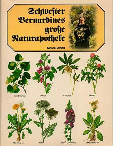Schwester Bernardines grosse Naturapotheke