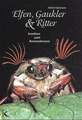 Elfen, Gaukler & Ritter: Insekten zum Kennenlernen