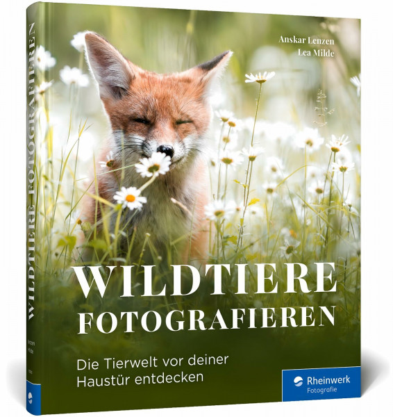 Wildtiere fotografieren: Die Tierwelt vor deiner Haustür entdecken. Rehe, Eulen, Füchse, Steinböcke & Co. verantwortungsvoll fotografieren