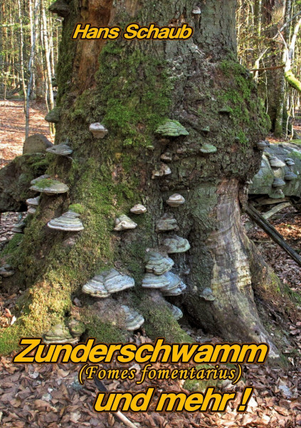 Zunderschwamm und mehr: Meine Erfahrungen beim Bearbeiten des Zunderschwammes
