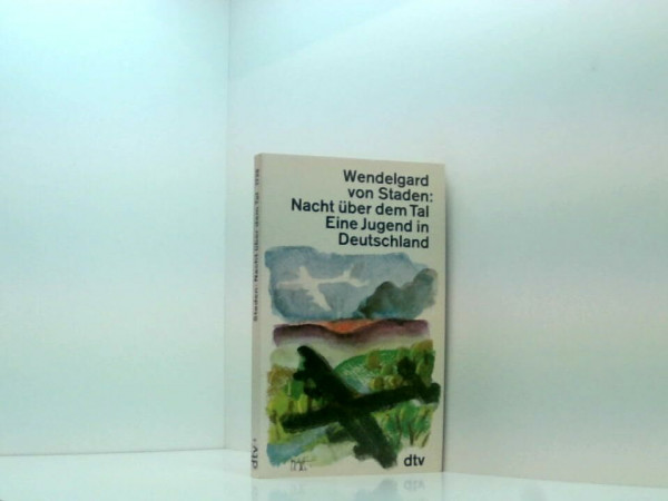Nacht über dem Tal: Eine Jugend in Deutschland (dtv Literatur)