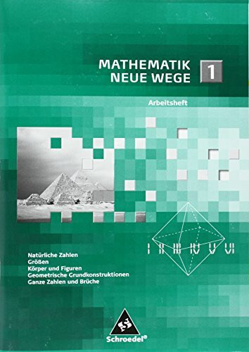 Mathematik Neue Wege SI: Arbeitsheft 1 (Mathematik Neue Wege SI: Arbeitshefte allgemeine Ausgabe 2008)
