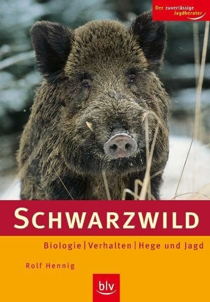 Schwarzwild: Biologie, Verhalten, Hege und Jagd