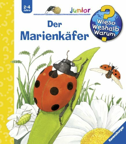 Der Marienkäfer (Wieso? Weshalb? Warum? junior, Band 19)