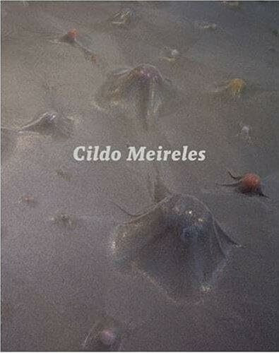 Cildo Meireles