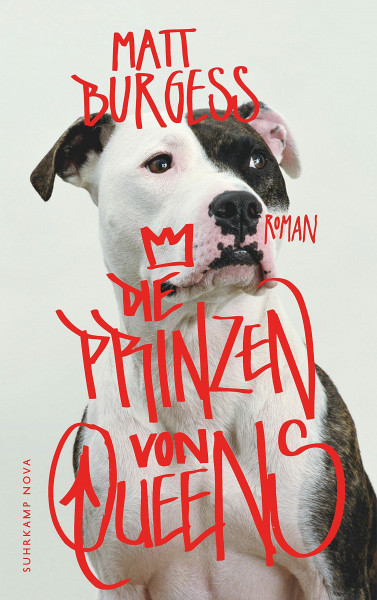 Die Prinzen von Queens: Roman (suhrkamp taschenbuch)