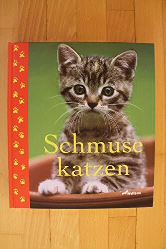 Schmusekatzen. (Mit fünf farbigen Postkarten)