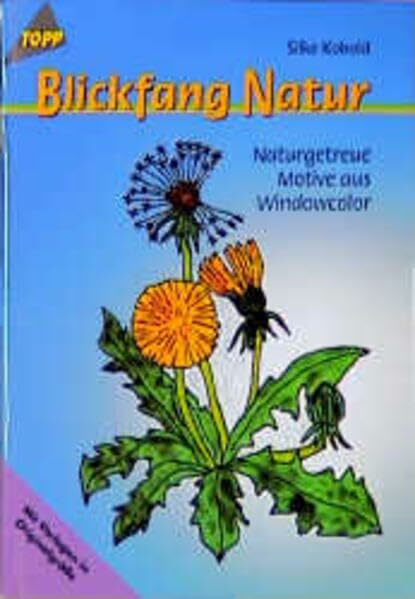 Blickfang Natur: Motive aus Windowcolor