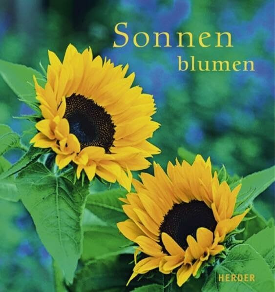 Sonnenblumen: Licht und Freude für die Sinne