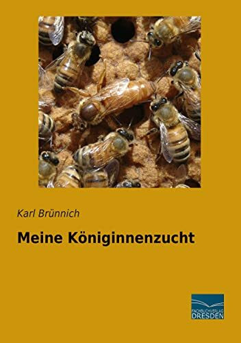 Meine Koeniginnenzucht