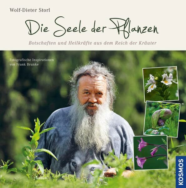 Die Seele der Pflanzen: Botschaften und Heilkräfte aus dem Reich der Kräuter