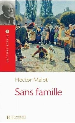 Lecture Facile - Grandes Oeuvres - Level 2: Sans Famille