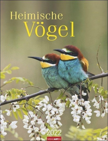 Heimische Vögel Kalender 2022