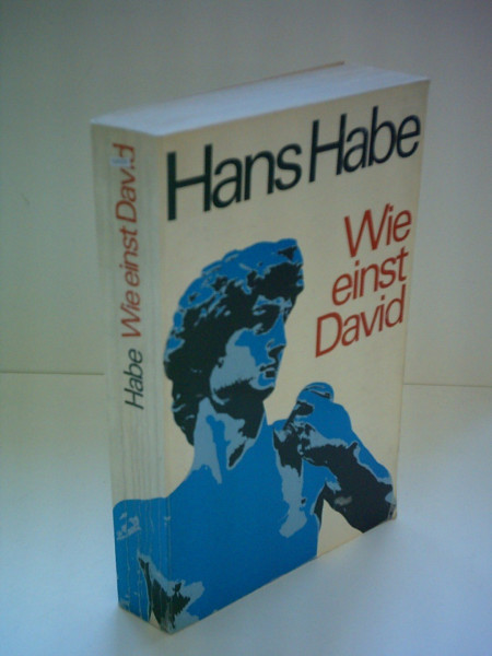 Wie einst David. Entscheidung in Israel