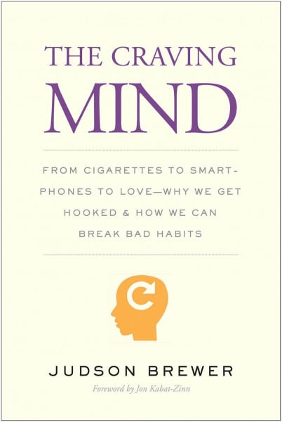 The Craving Mind: From Cigarettes to Smartphones to Love: Why We Get Hooked and How We Can Break Bad Habits