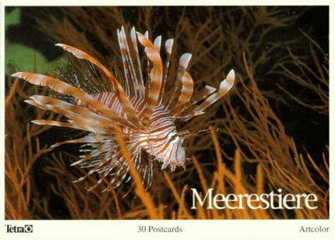 Meerestiere. 30 Postkarten /30 Postcards /30 Cartes Postales