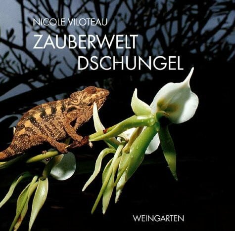 Zauberwelt Dschungel