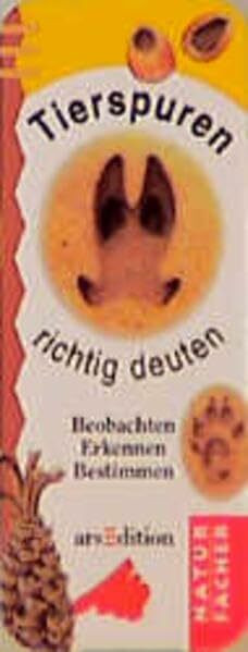 Naturfächer, Kartenfächer, Tierspuren richtig deuten, Kartenfächer