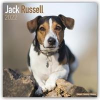 Jack Russell Terriers 2022 - 18-Monatskalender mit freier DogDays-App