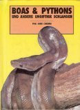 Boas und Pythons und andere ungiftige Schlangen
