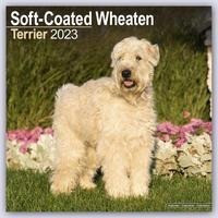 Soft-Coated Wheaten Terrier - Wheaten Terrier 2023- 16-Monatskalender