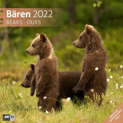 Bären Kalender 2022 - 30x30