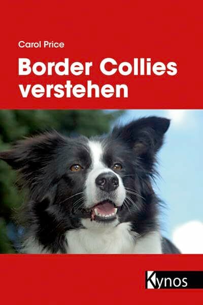 Border Collies verstehen Border Collies verstehen