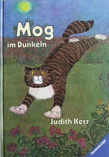Mog im Dunkeln