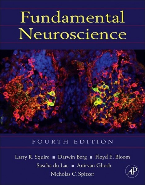 Fundamental Neuroscience