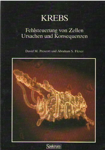 KREBS - FEHLSTEUERUNG V.ZELLEN